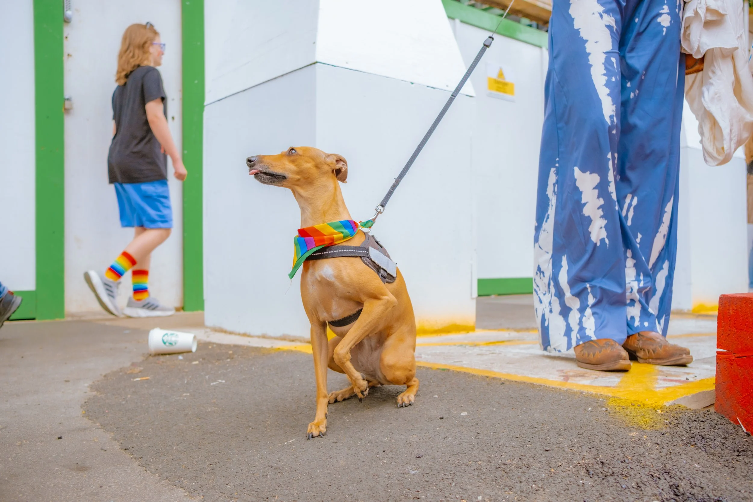 Josh_Edgoose_BrightonPride_1.jpg