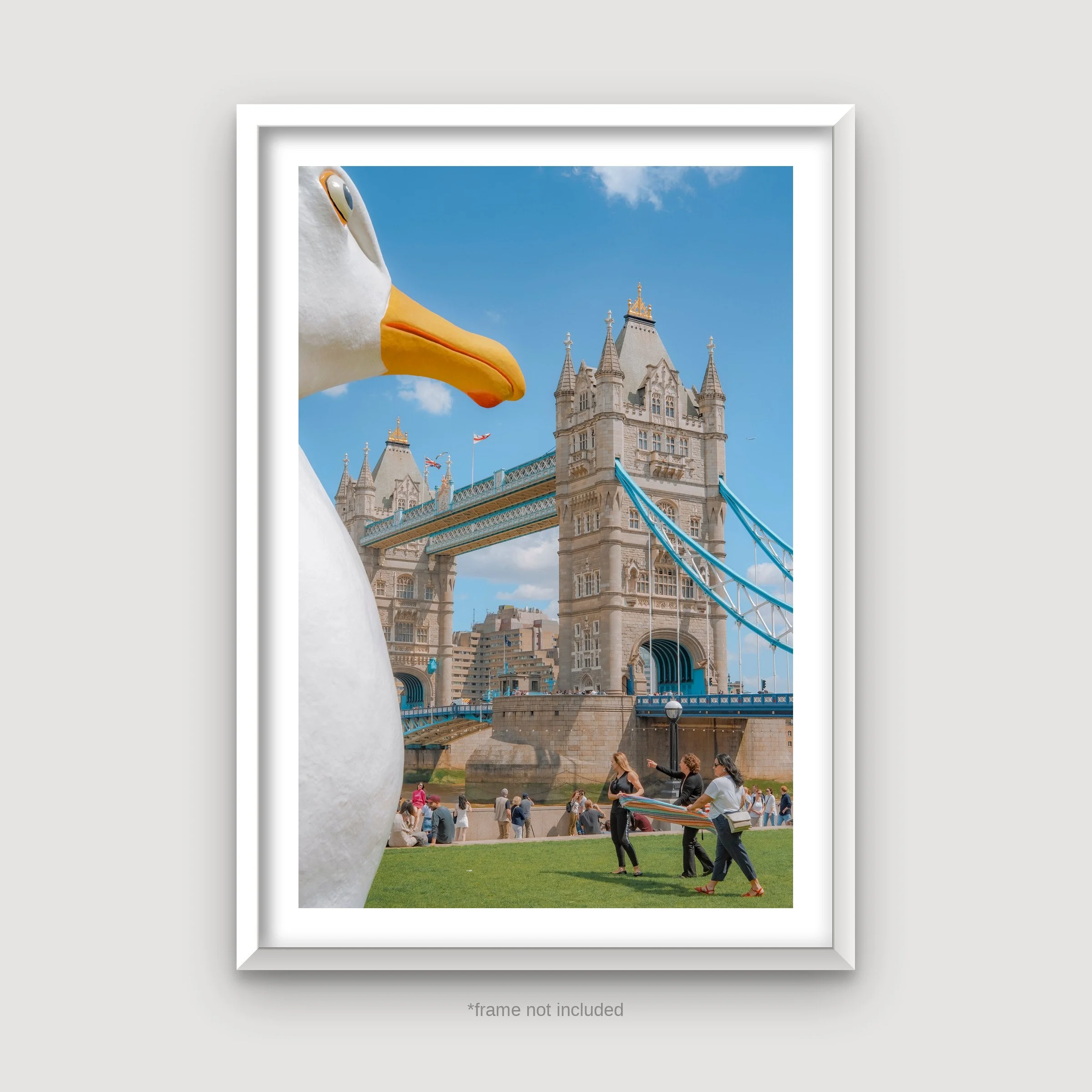 Josh Edgoose - Seagul_framed.jpg
