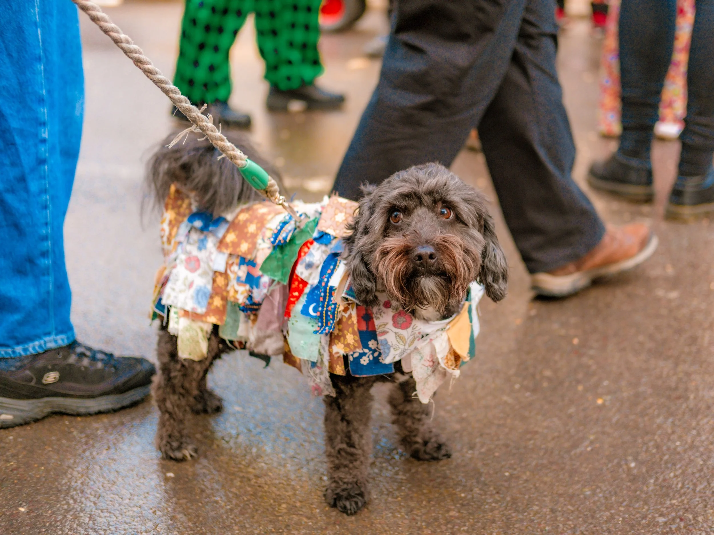 Straw Bear 2026-28.JPG
