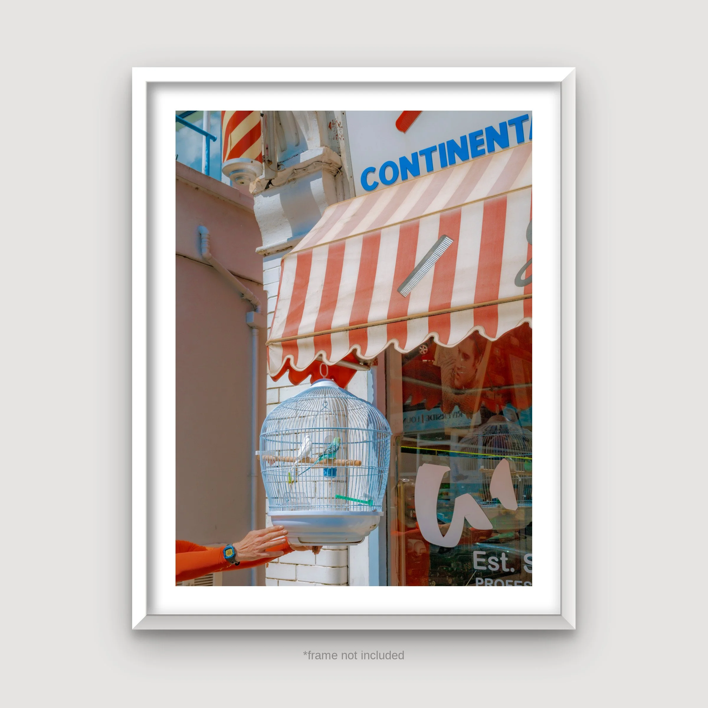 Josh_Edgoose_London_Street_Photographs_19_framed.jpg