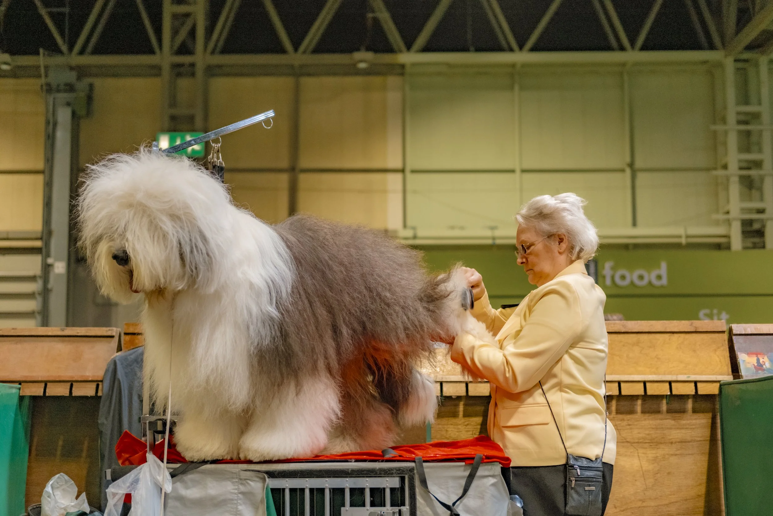 Josh_Edgoose_Crufts_12.JPG