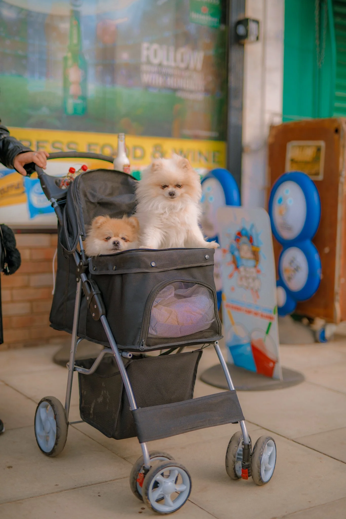 josh edgoose 122-461.jpg