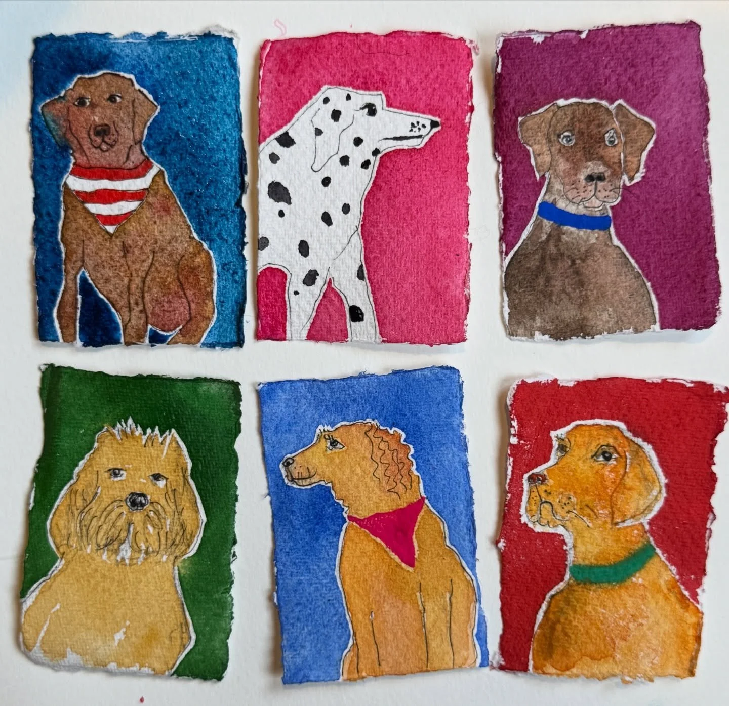 Keeping me busy down in rainy Devon are these good little bois and girls 🐾 🐕 

#doglovers #dogstyle #dogs