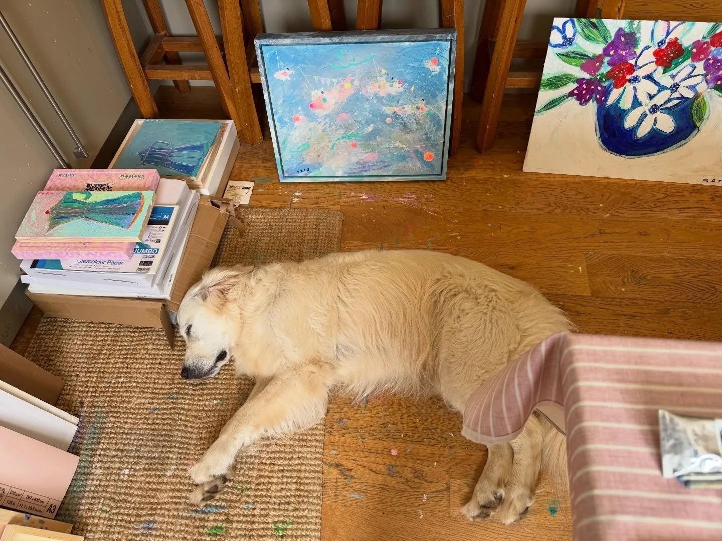 Some of us have been super busy in the studio this week 💫

#theheatwave #hotdog #artstudios #artistshome #marydonald