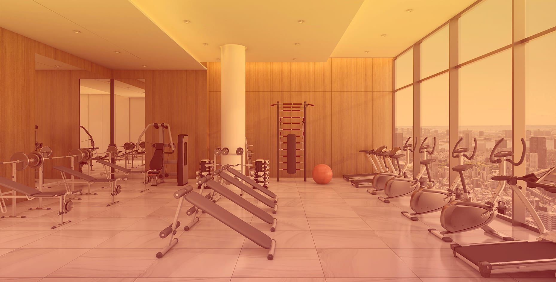 EQUOS-website-header-gym2_min.jpg