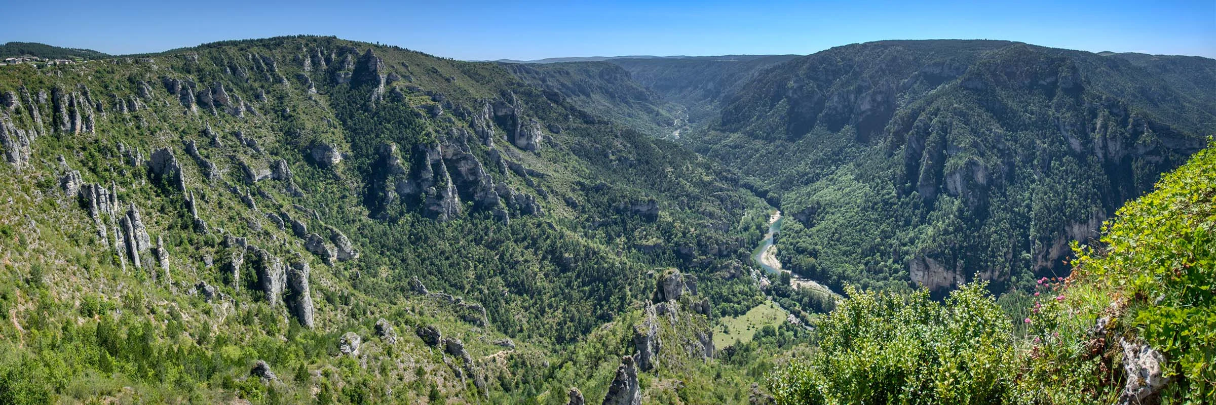 Gorges du Tarn