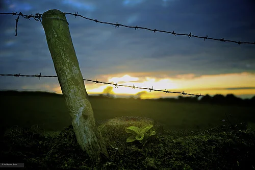 Daily Creation Challenge | Day 104 - Hope and barriers