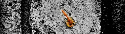 Daily Creation Challenge | Day 114 - extraction