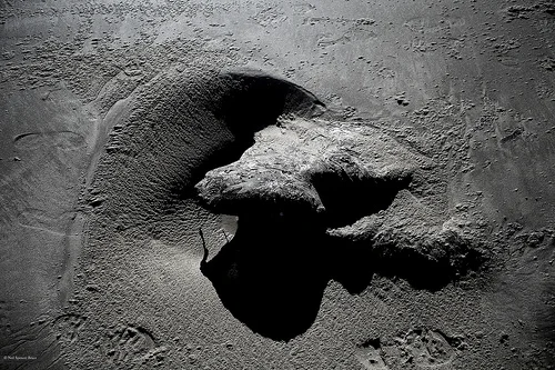 Daily Creation Challenge | Day 119 - shape and form