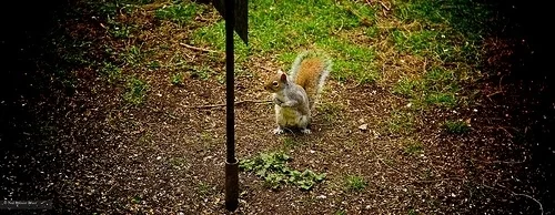 Daily Creation Challenge | Day 156 - In a rush?