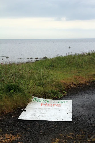 Daily Creation Challenge  Day 157 – Are you hungry