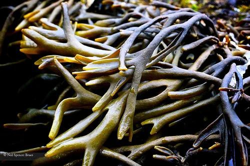 Daily Creation Challenge | Day 163 - Hope for the future