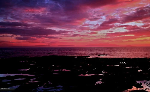 Daily Creation Challenge | Day 164 - Endings and beginnings