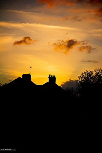 Daily Creation Challenge | Day 169 - Home