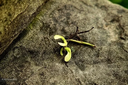 Daily Creation Challenge | Day 187 - Friends