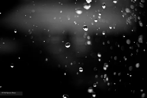 Daily Creation Challenge | Day 232 - Summer