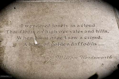 Daily Creation Challenge | Day 246 - Empty