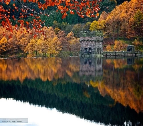 Daily Creation Challenge | Day 248 - Reflections