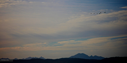 Daily Creation Challenge | Day 252 - Fight or flight