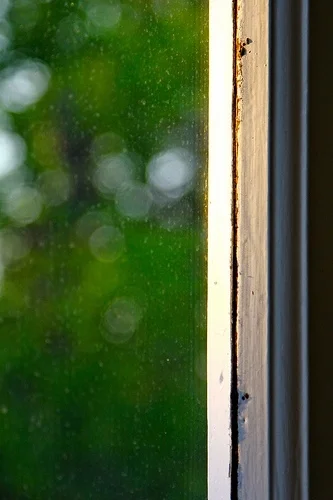 Daily Creation Challenge | Day 266 - Boundaries