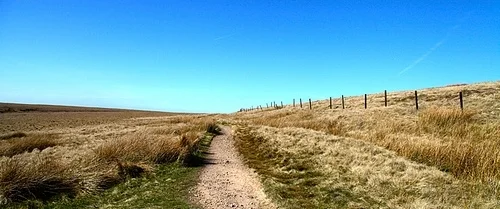 Daily Creation Challenge | Day 282 - Wide open