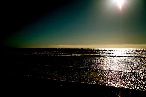 Daily Creation Challenge | Day 300 - Hope for the future