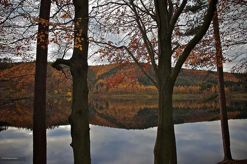 Daily Creation Challenge | Day 328 - Reflecting