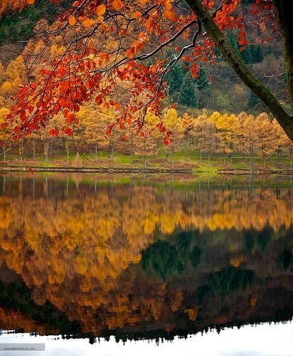 Daily Creation Challenge | Day 332 - Autumn - the end or the beginning?