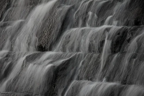 Daily Creation Challenge | Day 334 - Like tears in rain