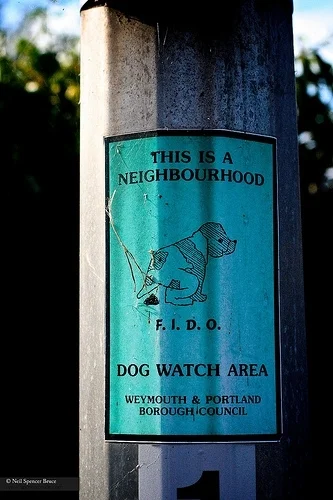 Daily Creation Challenge | Day 344 - Direct and to the point