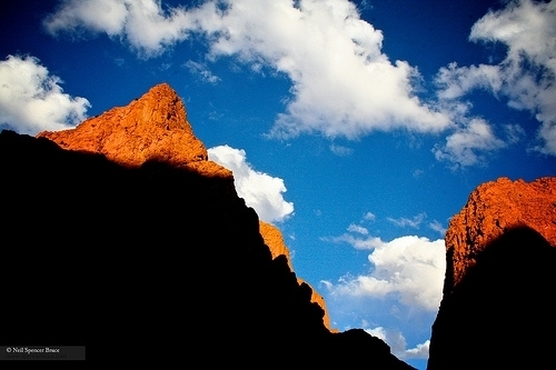 Daily Creation Challenge | Day 360 - Dreaming of a better future