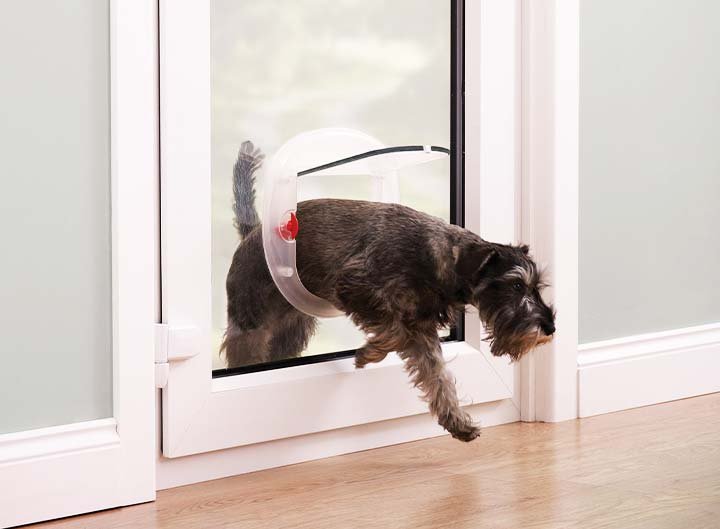 dog-door-installers-sydney.jpg