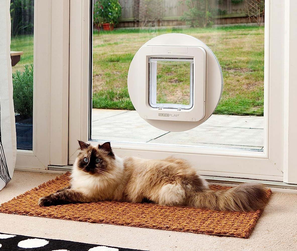 Micro-Chip-Cat-Doors-Sydney.jpg