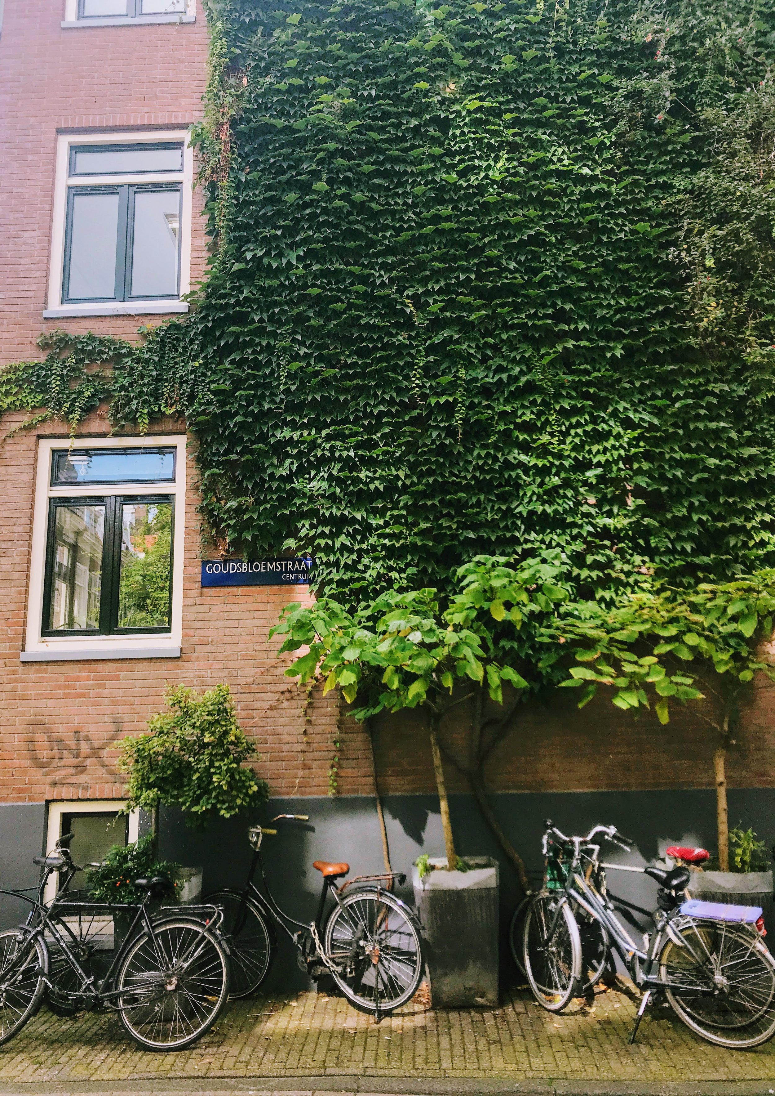 Bikes and canals in Amsterdam