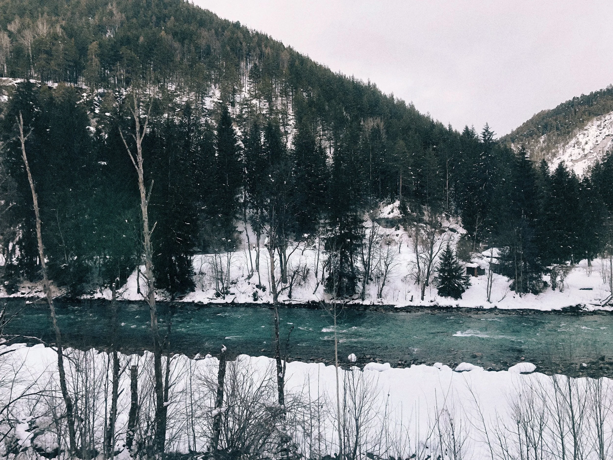 Rhine Gorge