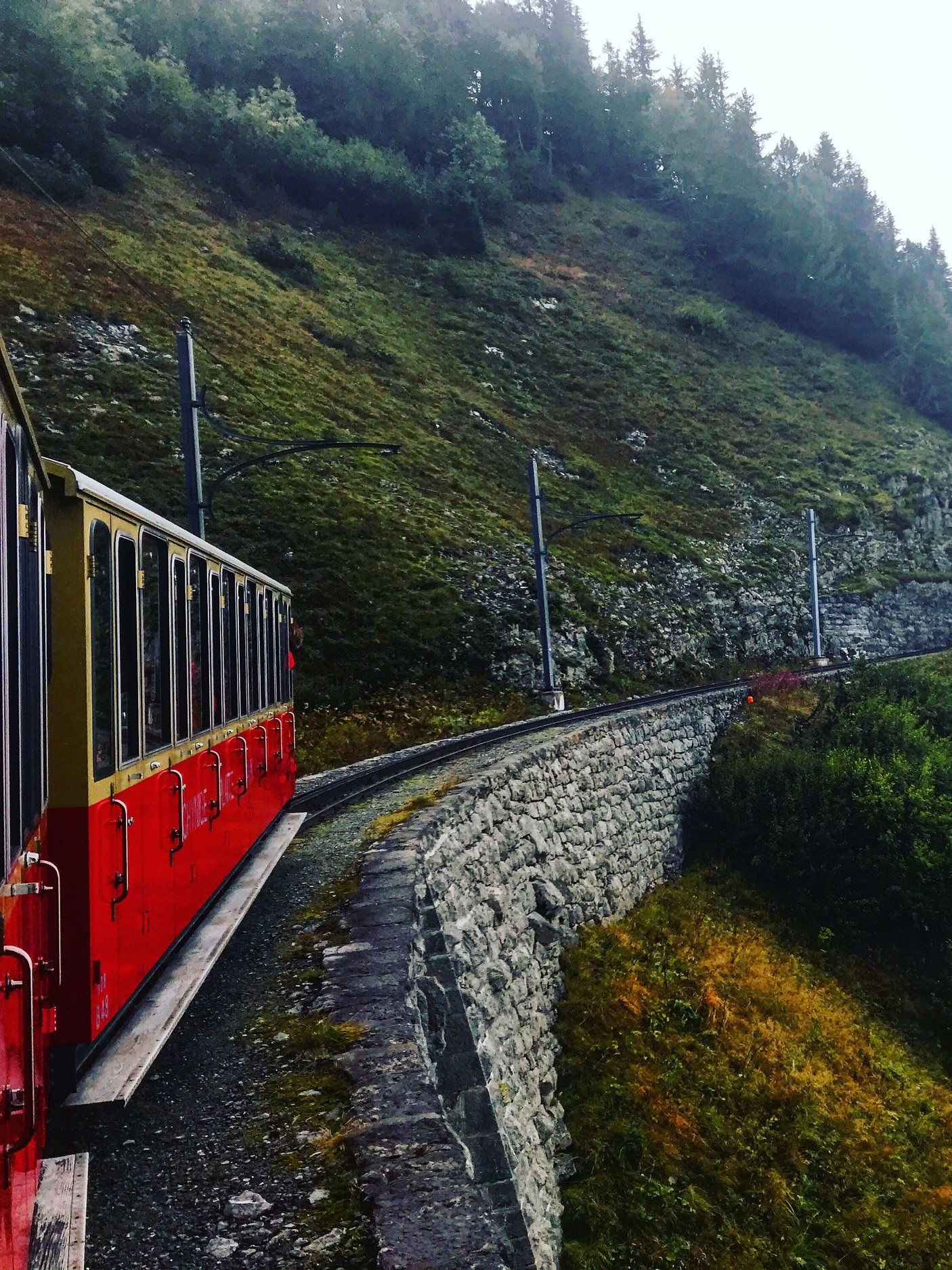 Mountain train up to Schynige Platte in the Jungfrau region