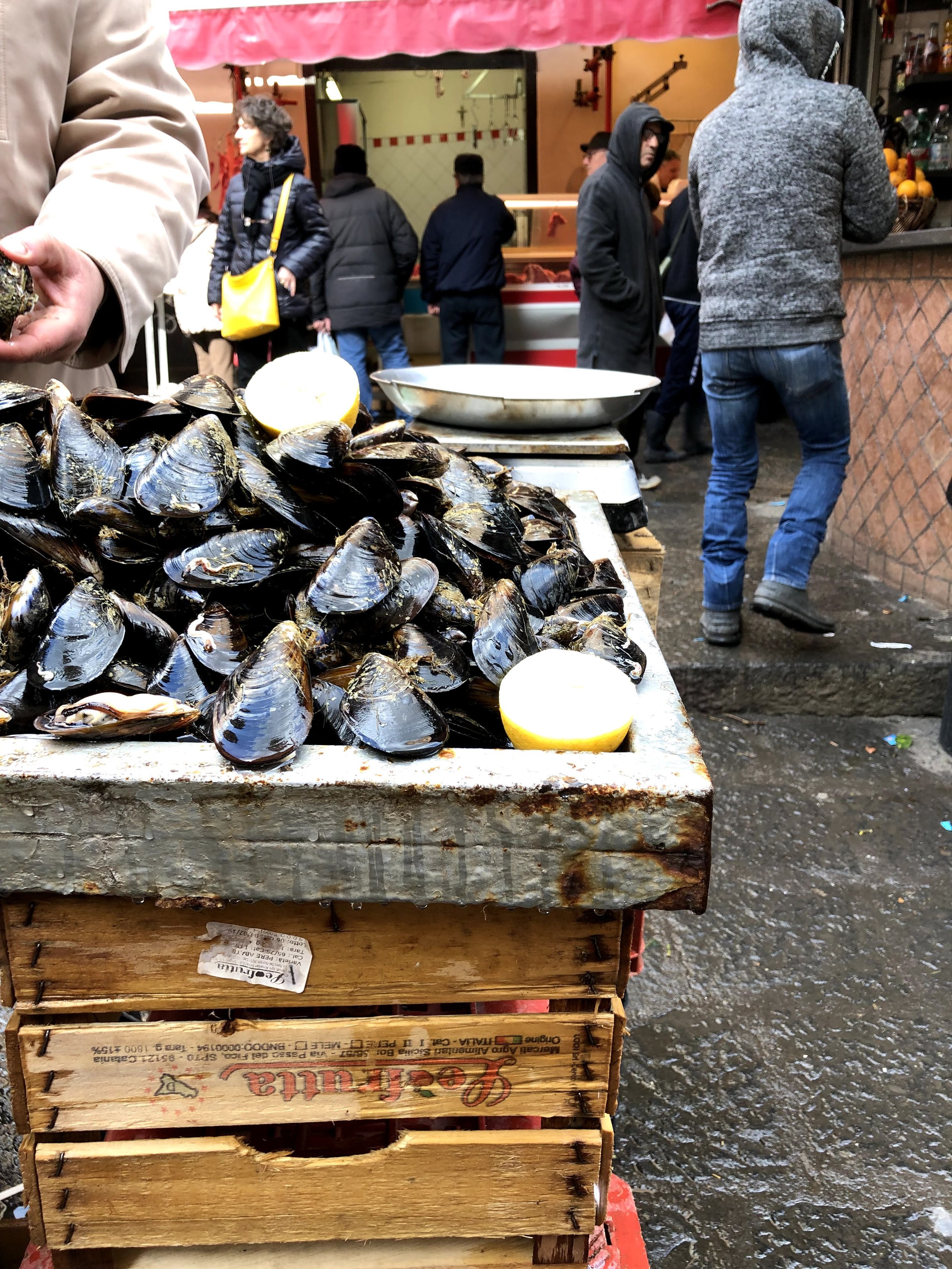 Fresh oysters at the fish market in Catania, Sicily