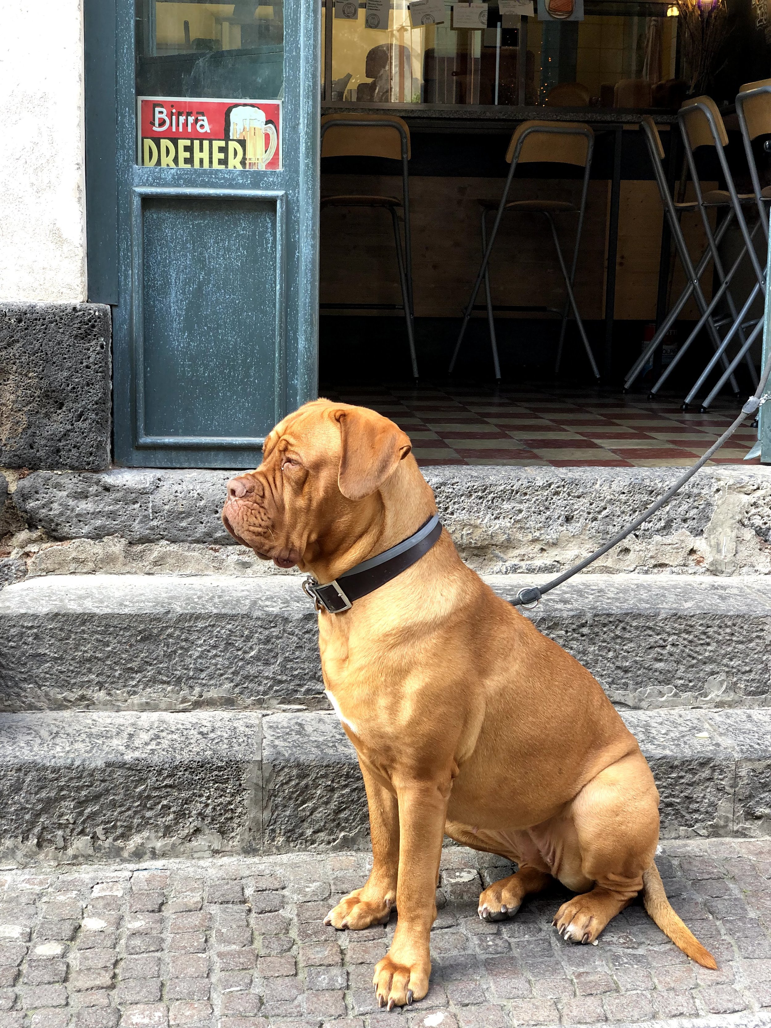 Streets of Catania, Sicily