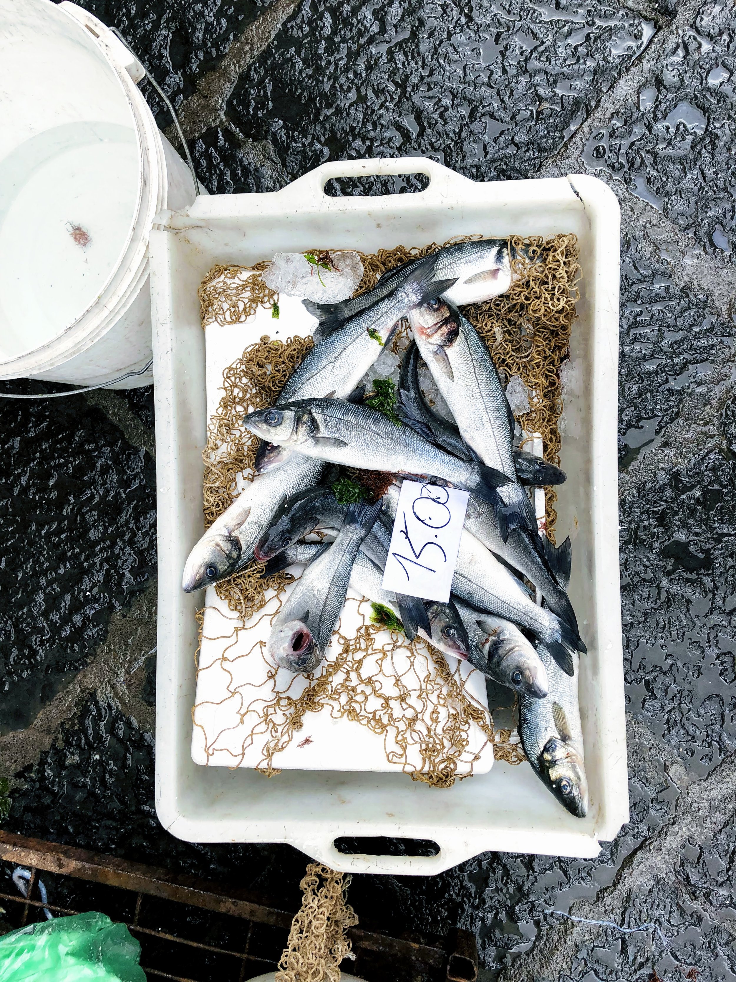 The fish market in Catania, Sicily