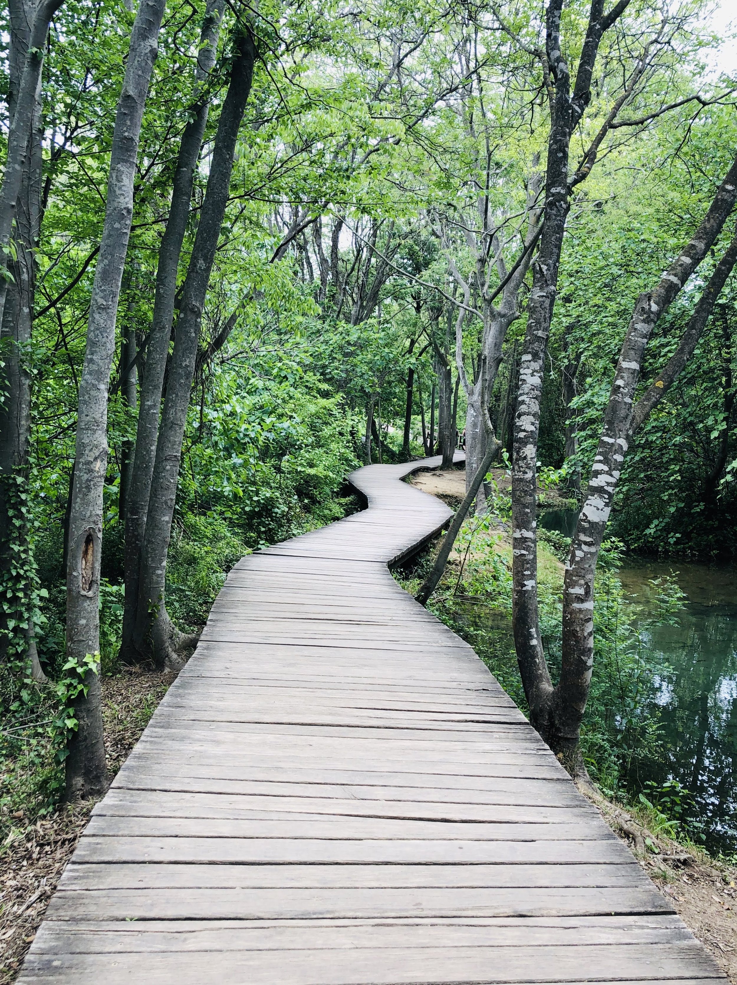 Boardwalks at Skradinski buk at Krka National Park Croatia