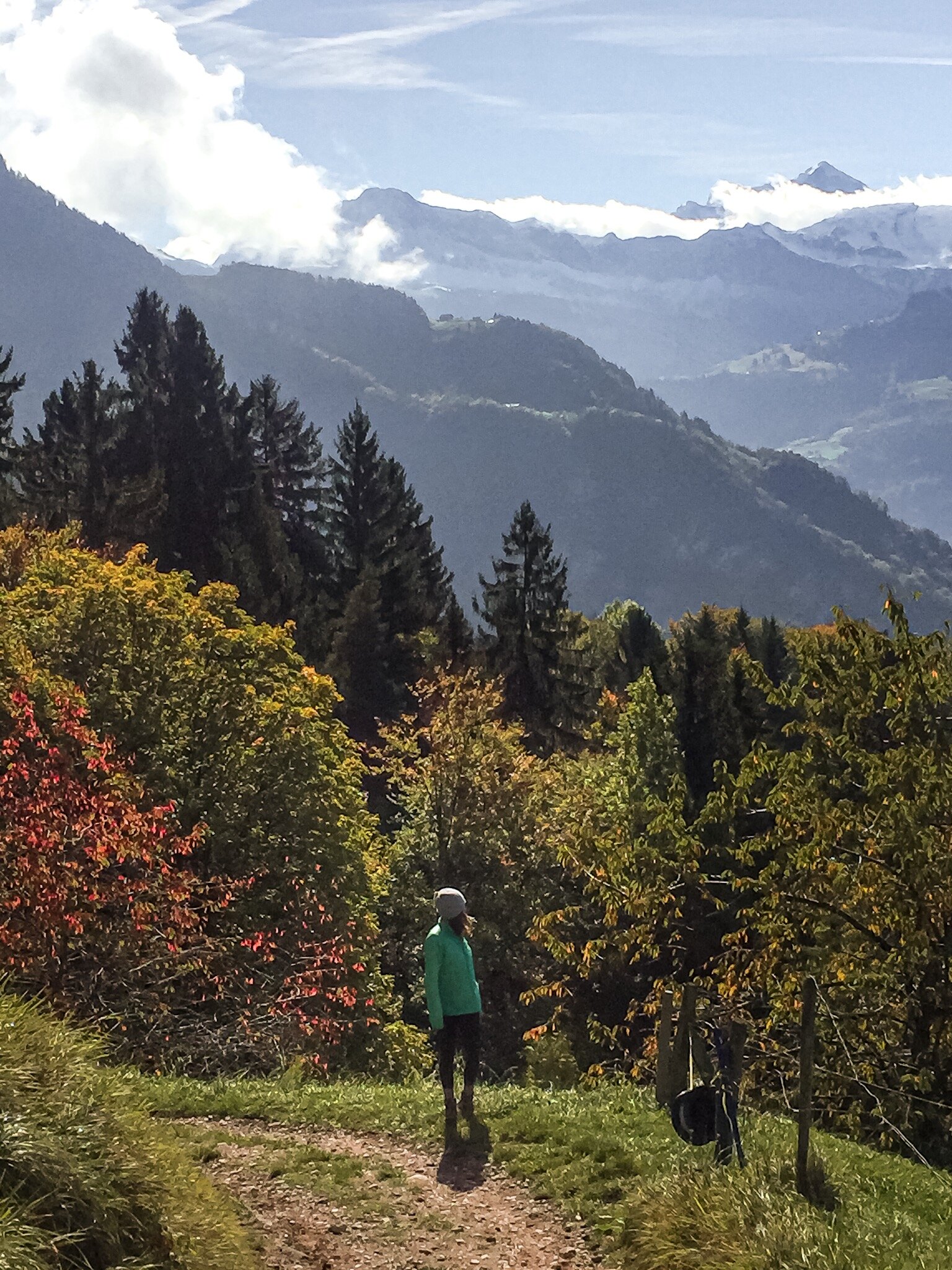 Fall colors on Mt. Rigi near Lucern, Switzerland