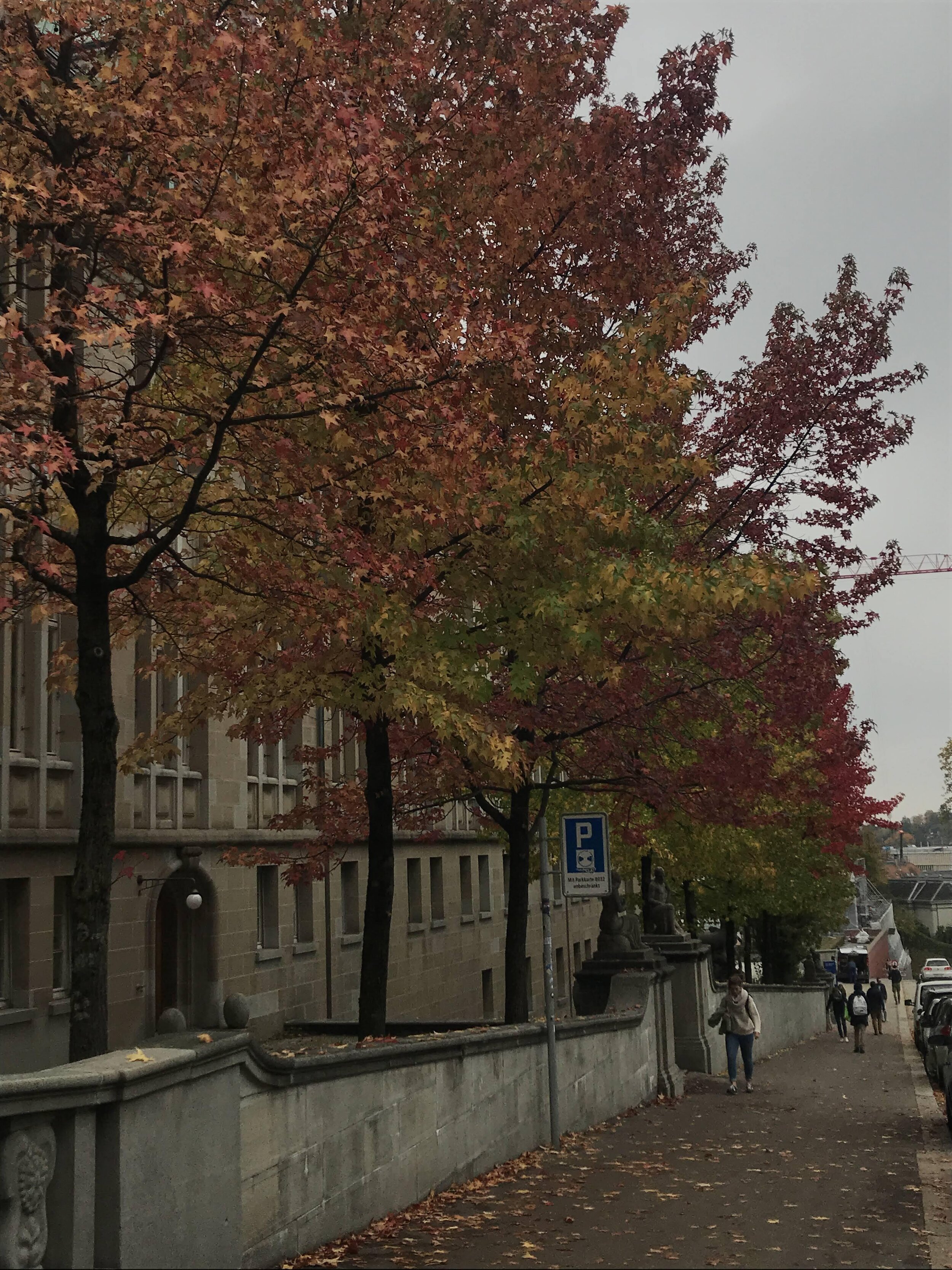 Fall colors at ETH Zurich in Zurich, Switzerland