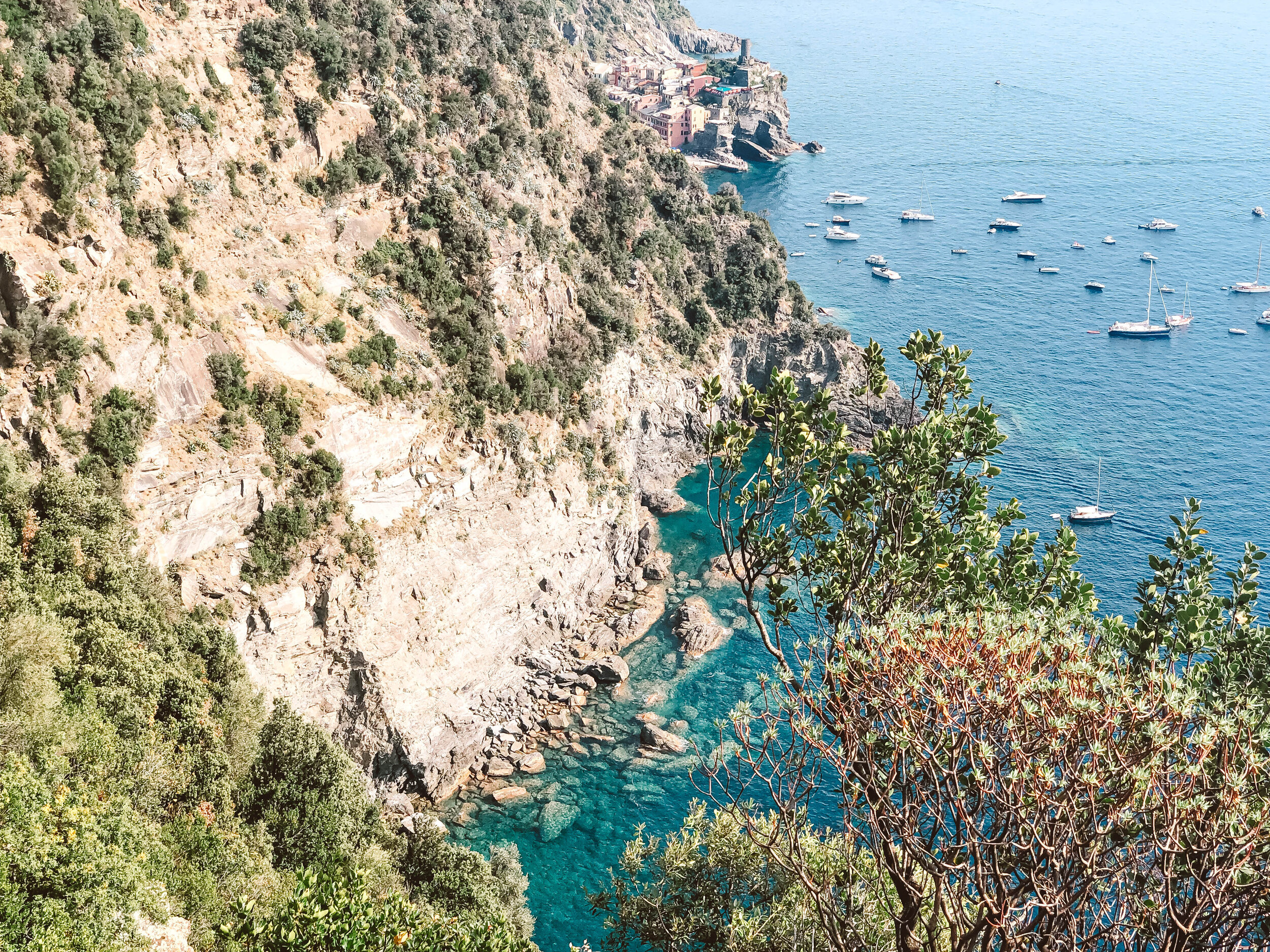 Cinque Terre view from hiking trail.jpg