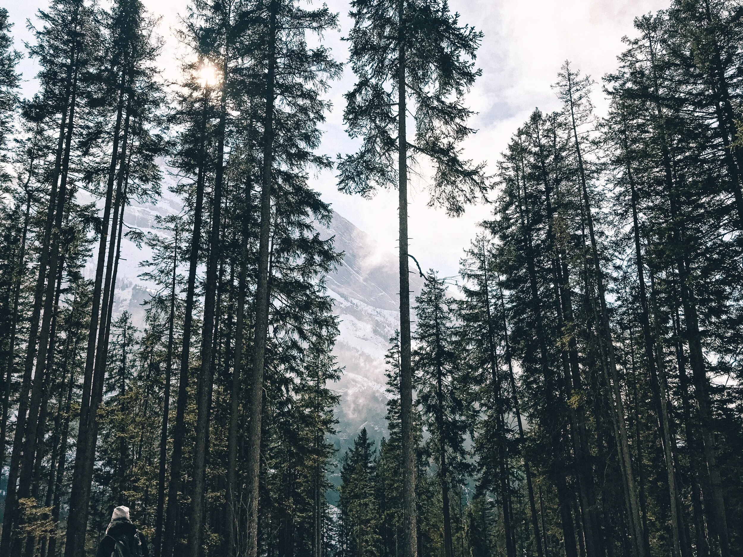 Finding My Stride: What I’ve Learned About Running