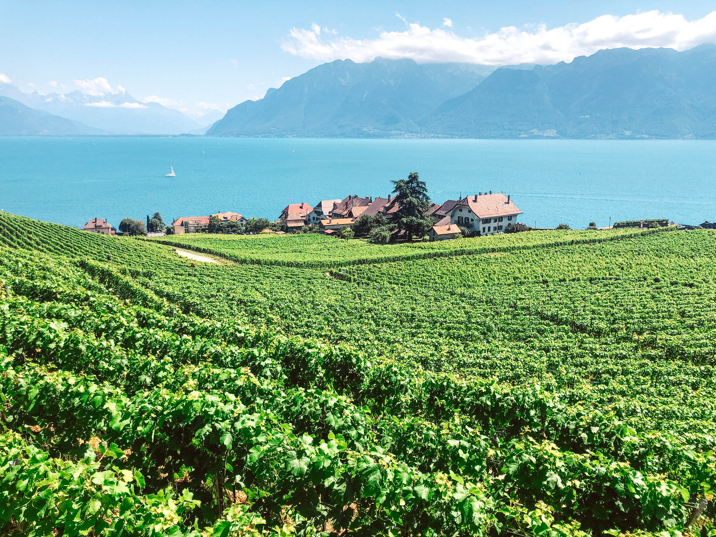 Lausanne to Vevey hike through Lavaux vineyards