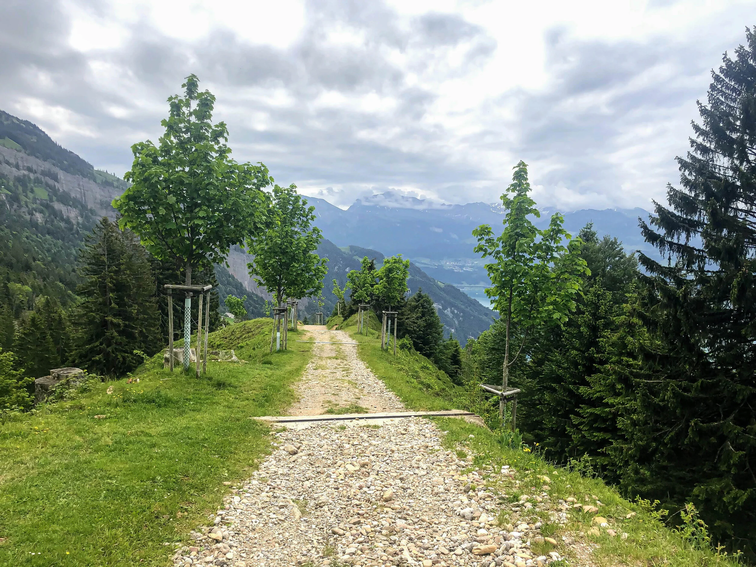 Rigi Kulm mark twain trail.jpg