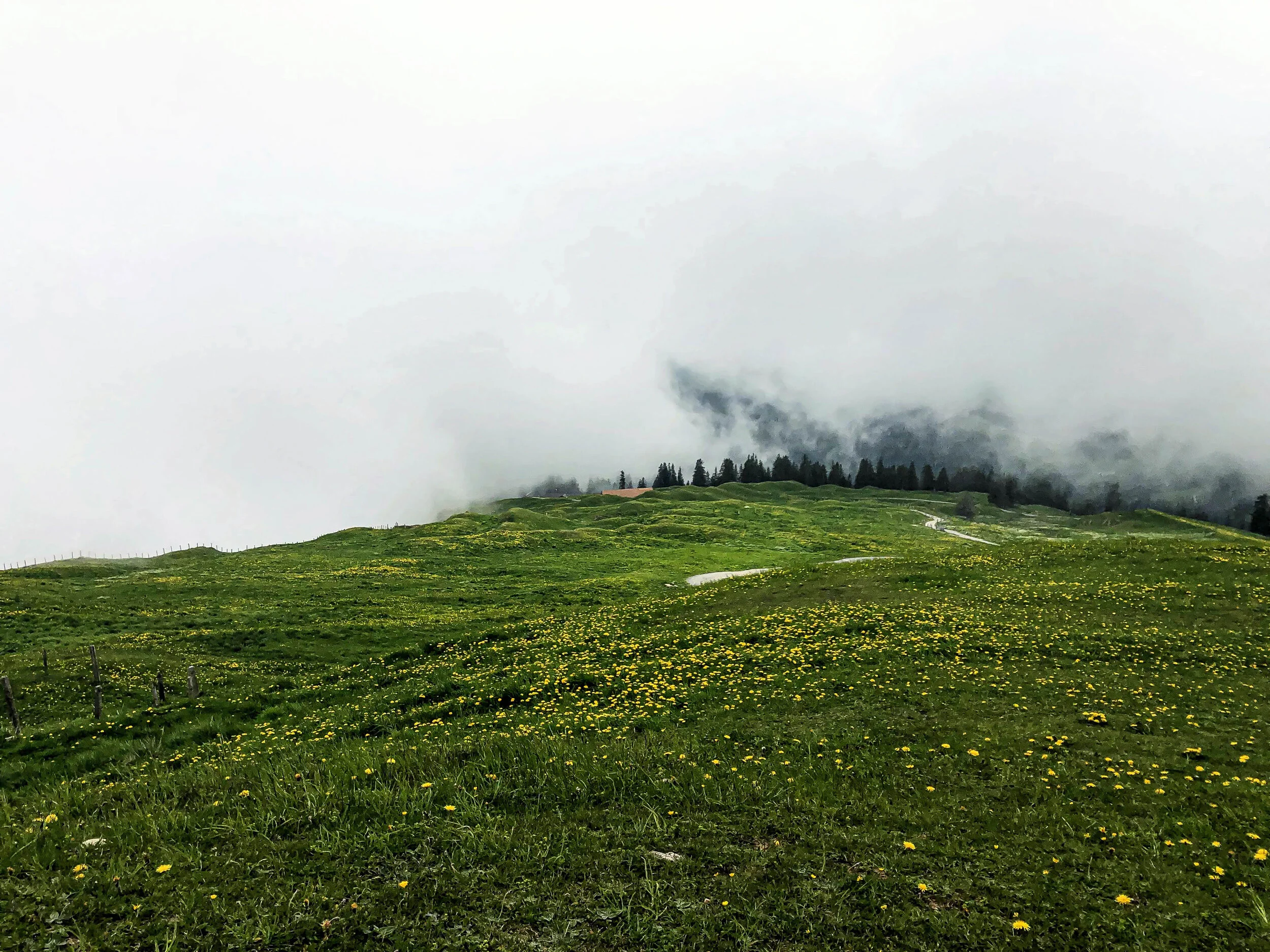 Rigi Kulm rigi staffel 2.jpg