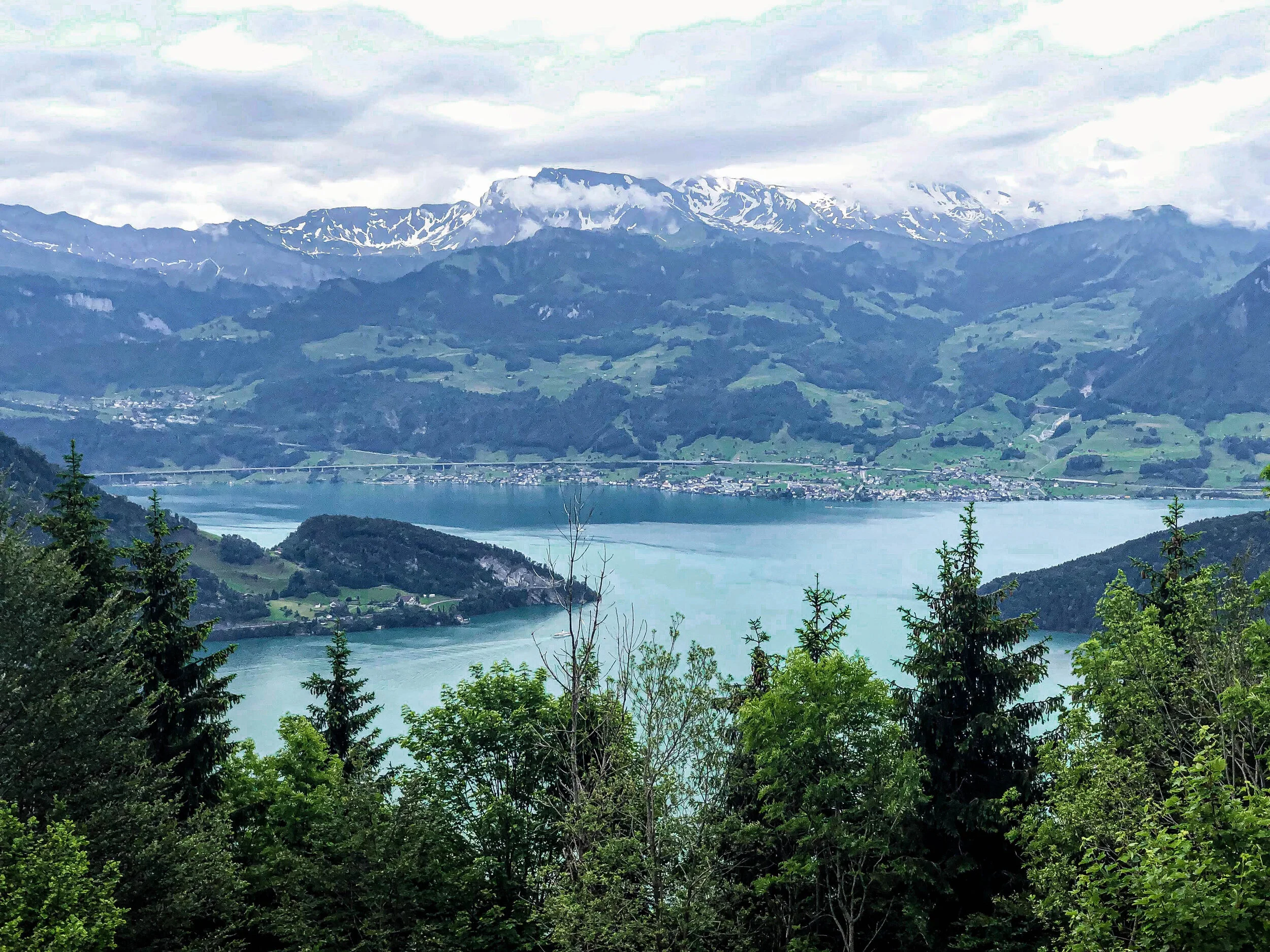 Rigi Kulm weggis view of lake.jpg
