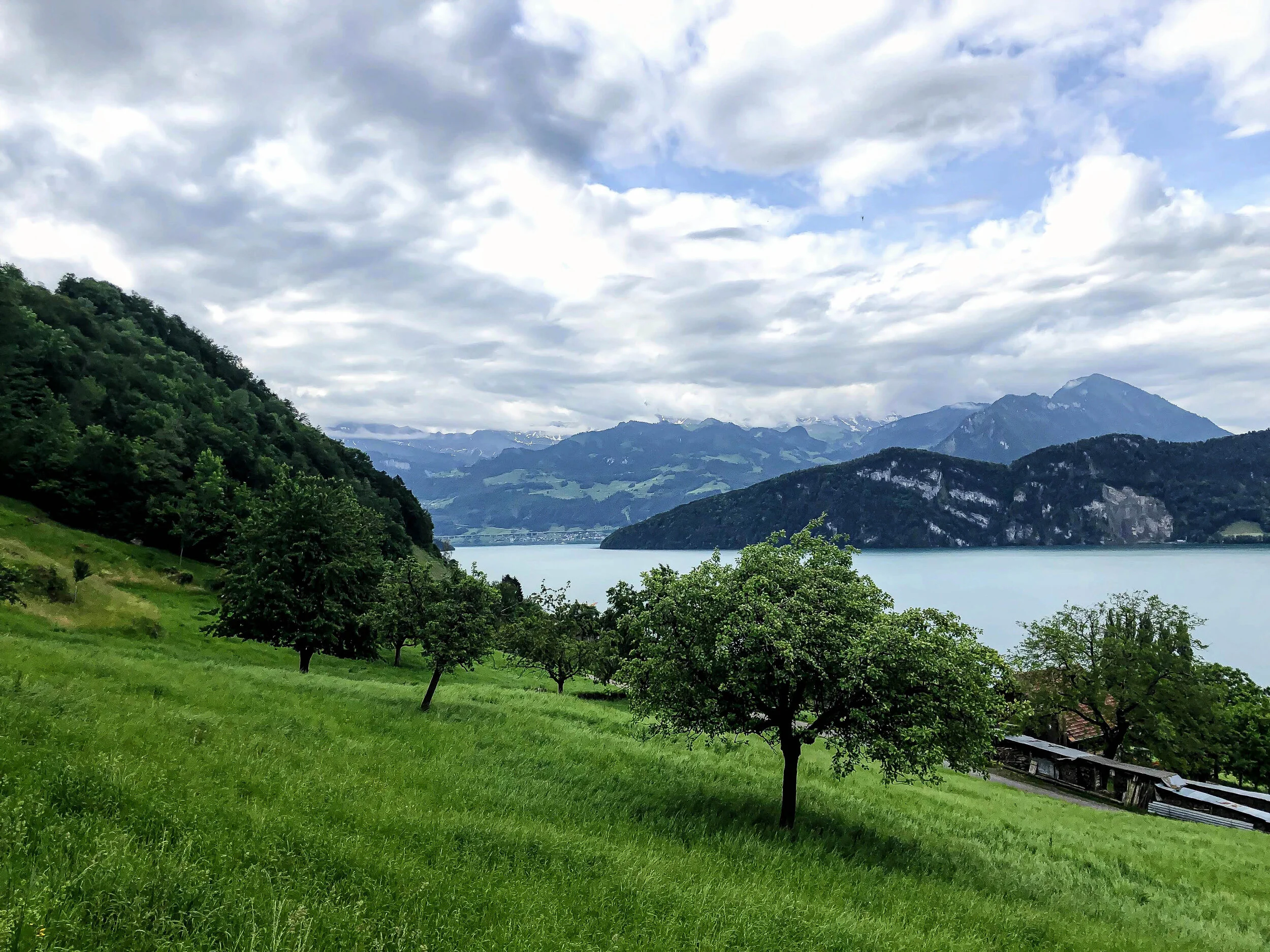 Rigi Kulm weggis fields.jpg