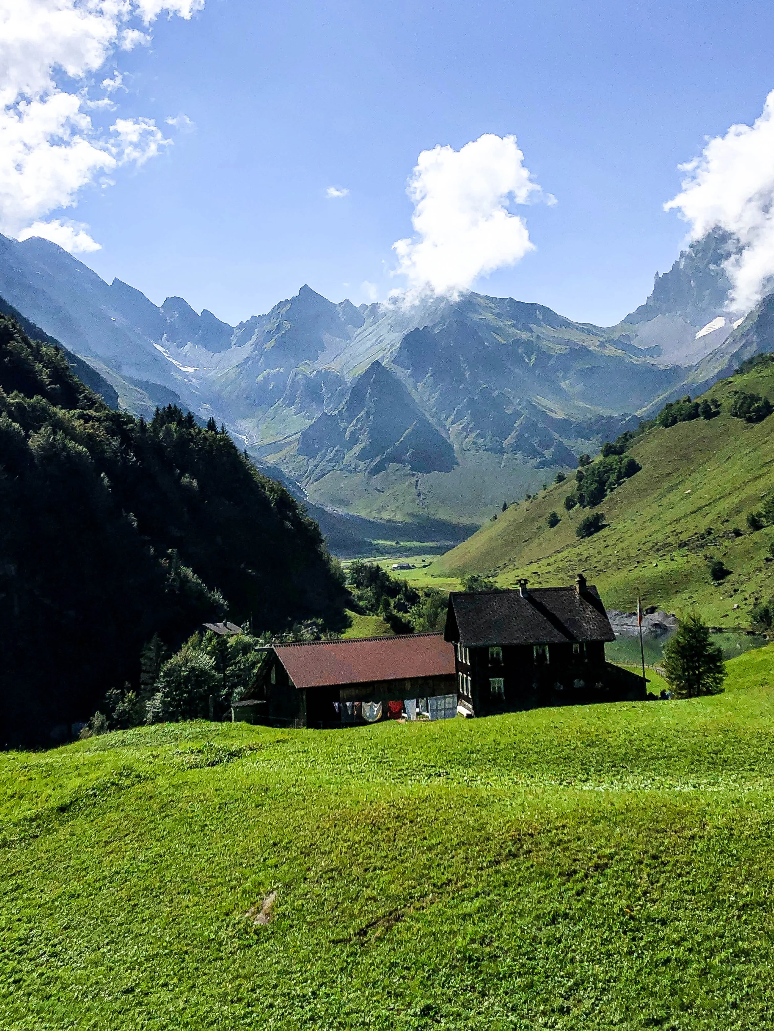 Surenenpass alp waldnacht 2.jpg